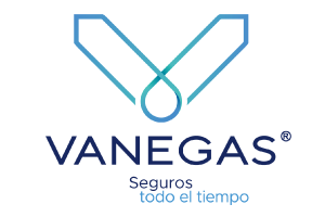 VANEGAS SEGUROS